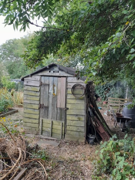 Ally Pally Allotments